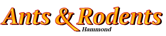 Hammond Ant Exterminator & Rodent Control Company Logo